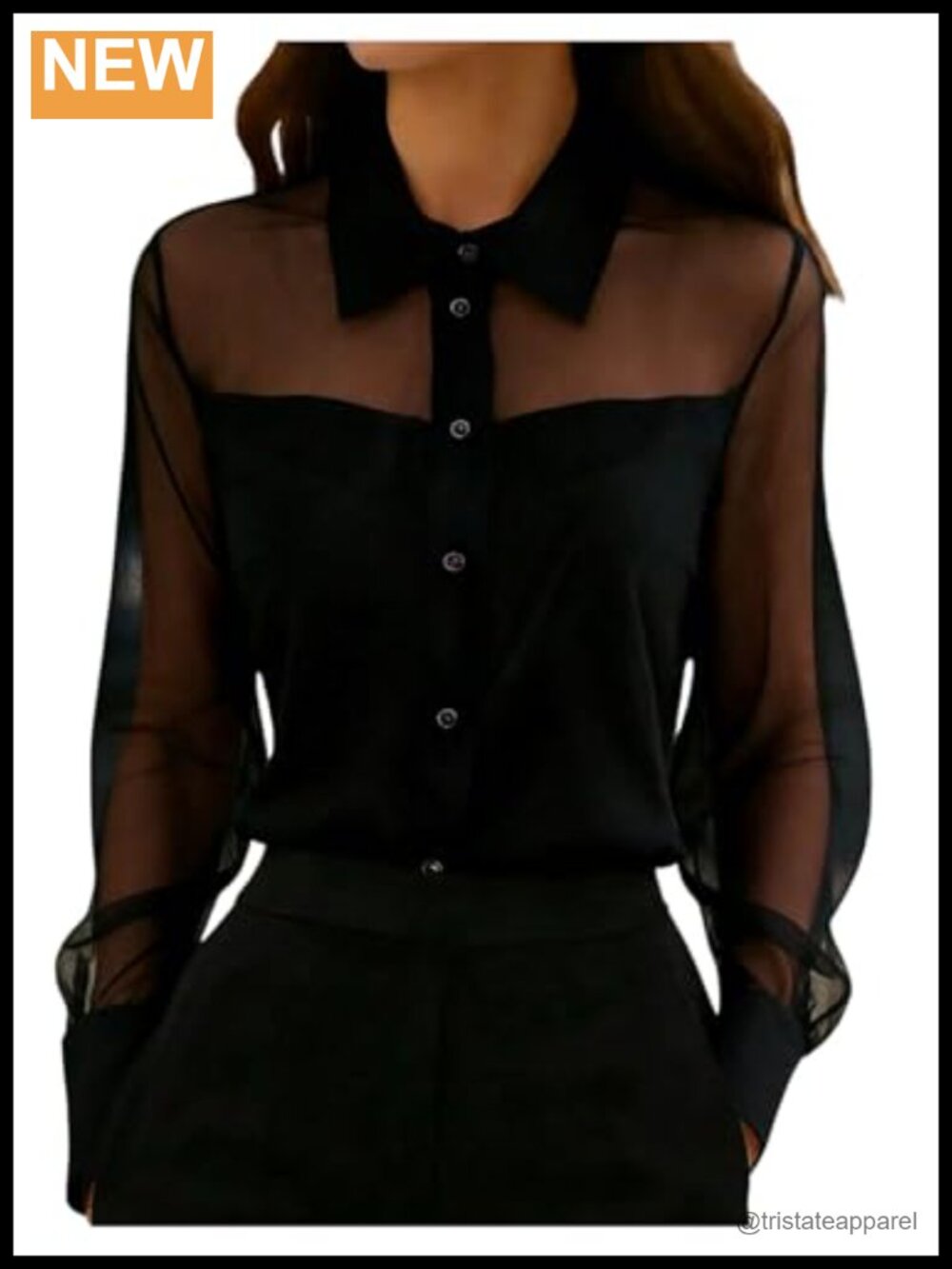 Sheer Mesh Long Sleeve Collared Blouse Women Office